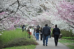 Parque de Brook Park, Newark, New Jersey
