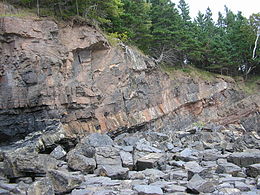 Středokarbonský práh mezi spodnokarbonskými břidlicemi a pískovci: Horton Bluff, Nové Skotsko