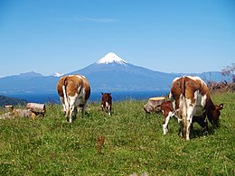Osorno Volcano, Región de los Lagos