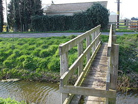 Fåresikker gangbro: Dette er en af de mange gangbroer, der krydser digerne i Romney Marsh.