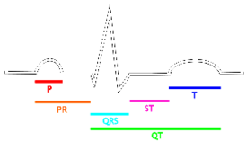 EKG - elektrokardiograma
