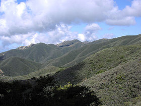 Chaparral, montañas de Santa Ynez, cerca de Santa Bárbara, California