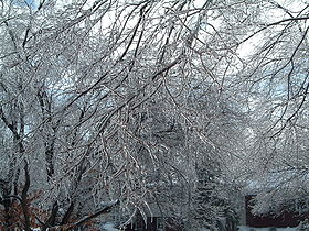 Une tempête d'hiver en décembre 2004