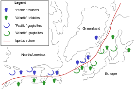 Kontinenternes placering efter den kaledonske orogenese (devonisk til permisk tid). Forskelle i den fossile fauna på begge sider af den røde linje (Iapetus-suturen) er beviser for, at der fandtes et hav mellem de to sider i tiden før kontinenterne blev forenet i superkontinentet Pangæa.