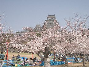 Festas Hanami no Castelo Himeji.