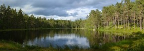 A lake in Norra Kvill National Park in Kalmar län