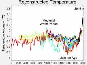 Pastarųjų dviejų tūkstančių metų temperatūros grafikas, sudarytas iš skirtingų netiesioginių rekonstrukcijų.