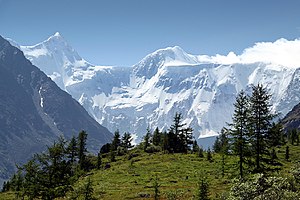 The Altai region offers an active vacation in almost untouched nature. Possibilities include several days of hiking and horseback riding, fishing, hunting, rafting, paragliding, etc. In 2008, more than 1 million people from over 60 countries visited the Altai region.