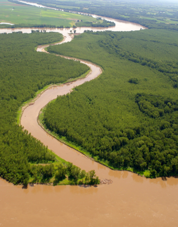 Typisk lavlandsflod: Big Muddy, det sydlige Illinois