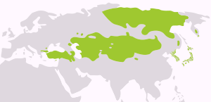 Verspreiding van de Altaïsche talen over Eurazië. De opname van Japans en Koreaans, en in mindere mate het bestaan van één enkele Altaïsche taalfamilie, is omstreden.