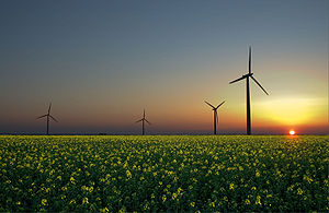 Wiatr, słońce i biomasa to trzy odnawialne źródła energii