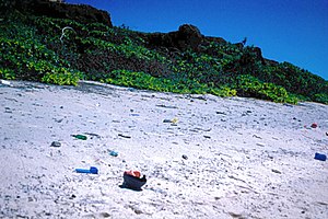Una foto de los residuos de plástico en la isla de Henderson