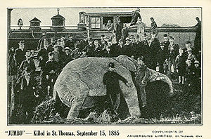 Reklamekort, 1885  