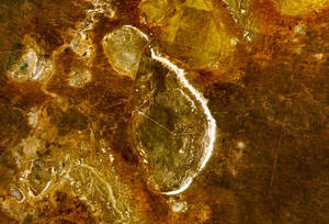 Landsat 7-billeder af Mungosøen. Den hvide linje, der definerer søens østlige bred, er den sandklit eller lunette, hvor det meste arkæologiske materiale er fundet.