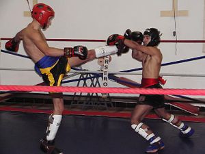 Bando kickboxing (amadores)