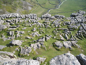 Kalksteinfelsen in Form eines Karstes