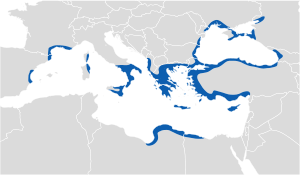 Greek settlement area in the middle of the 6th century BC.