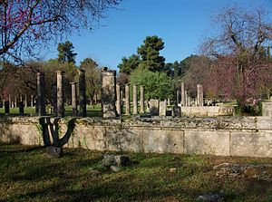  Palaestra