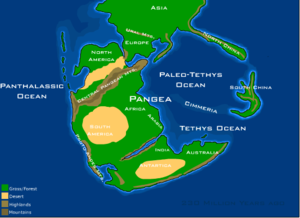 Pangaea la începutul Triasicului.