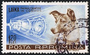 Laika, ensimmäinen avaruuteen laukaistu koira, Romanian postimerkissä vuodelta 1959.
