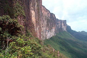 Den stejle klippevæg på Monte Roraima.