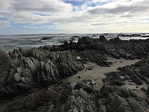 Scogli scisti, Spiaggia di Kaingaroa