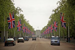 Alışveriş Merkezi, Buckingham Sarayı'na doğru güneybatıdan bakış