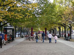 Mittelstreifen im Herbst