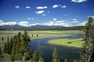 Reka Yellowstone na ravninah