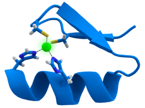 As nucleases dos dedos de zinco