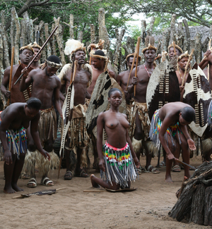 Jede bekannte traditionelle Kultur hat Tanzarten: Dies ist eine Zulu-Veranstaltung