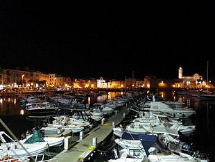 Trani y su puerto de noche  