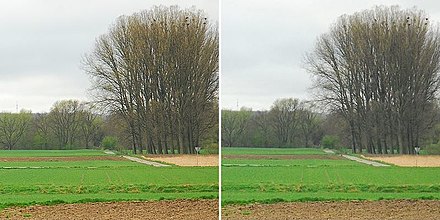 Contrast rendition depending on the sensitivity