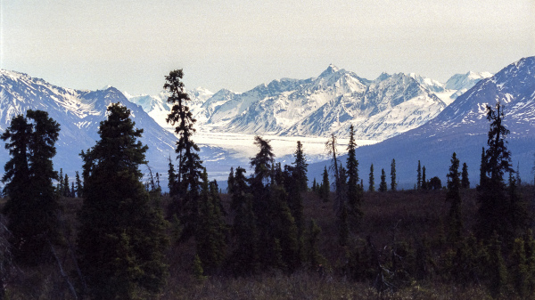 Matanuska-gletsjeren