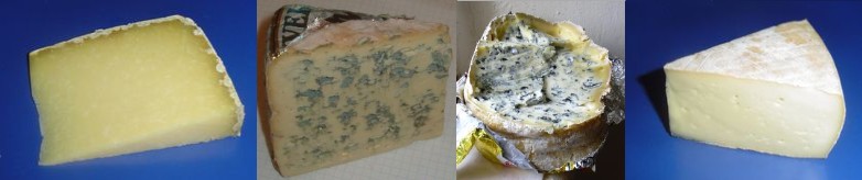 Four cheeses from Auvergne: Cantal, Bleu d'Auvergne, Fourme d'Ambert, Saint-Nectaire.