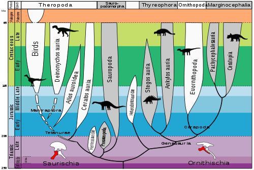 Evoluția dinozaurilor  
