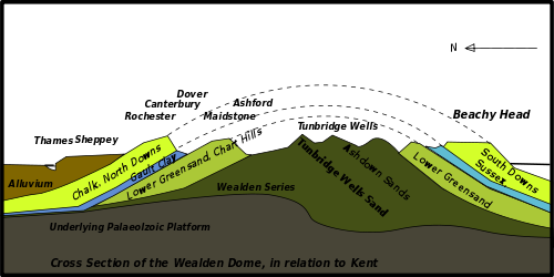 Wealden Dome'un Kent'e ilişkin basitleştirilmiş bir jeolojik diyagramı.