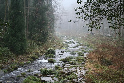 Řeka Zhangjiajie