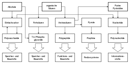 Origin of life
