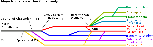 Die historische Entwicklung der großen kirchlichen Zweige von ihren Wurzeln her.