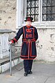 Yeoman Warder/Beefeater