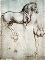 Study of a horse for the Duke's statue