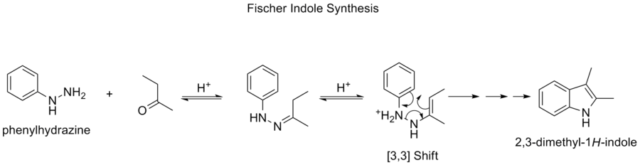 The Fischer indole synthesis