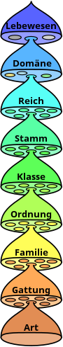 Taxon