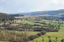 Niederanven, Luxembourg: Part of the nature reserve "Aarnescht"