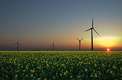 Vedvarende energikilder: vind, sol og biomasse.  
