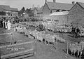 An annual sheep auction in Clun, 1920s