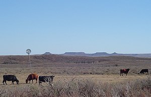 Further west, the barren prairie landscape of the High Plains predominates. Here is a scene in Roger Mills County