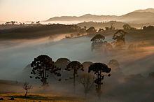 Part of the Serra da Bocaina National Park