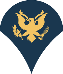 Erikoislääkärin arvomerkit (Yhdysvaltain armeija)  